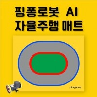 [로봇사이언스몰][로보라이즌] 핑퐁로봇 AI 자율주행 매트